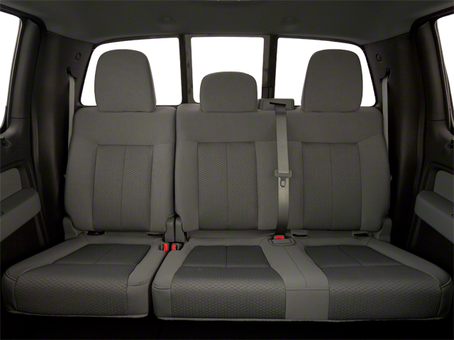 2010 Ford F-150 Platinum