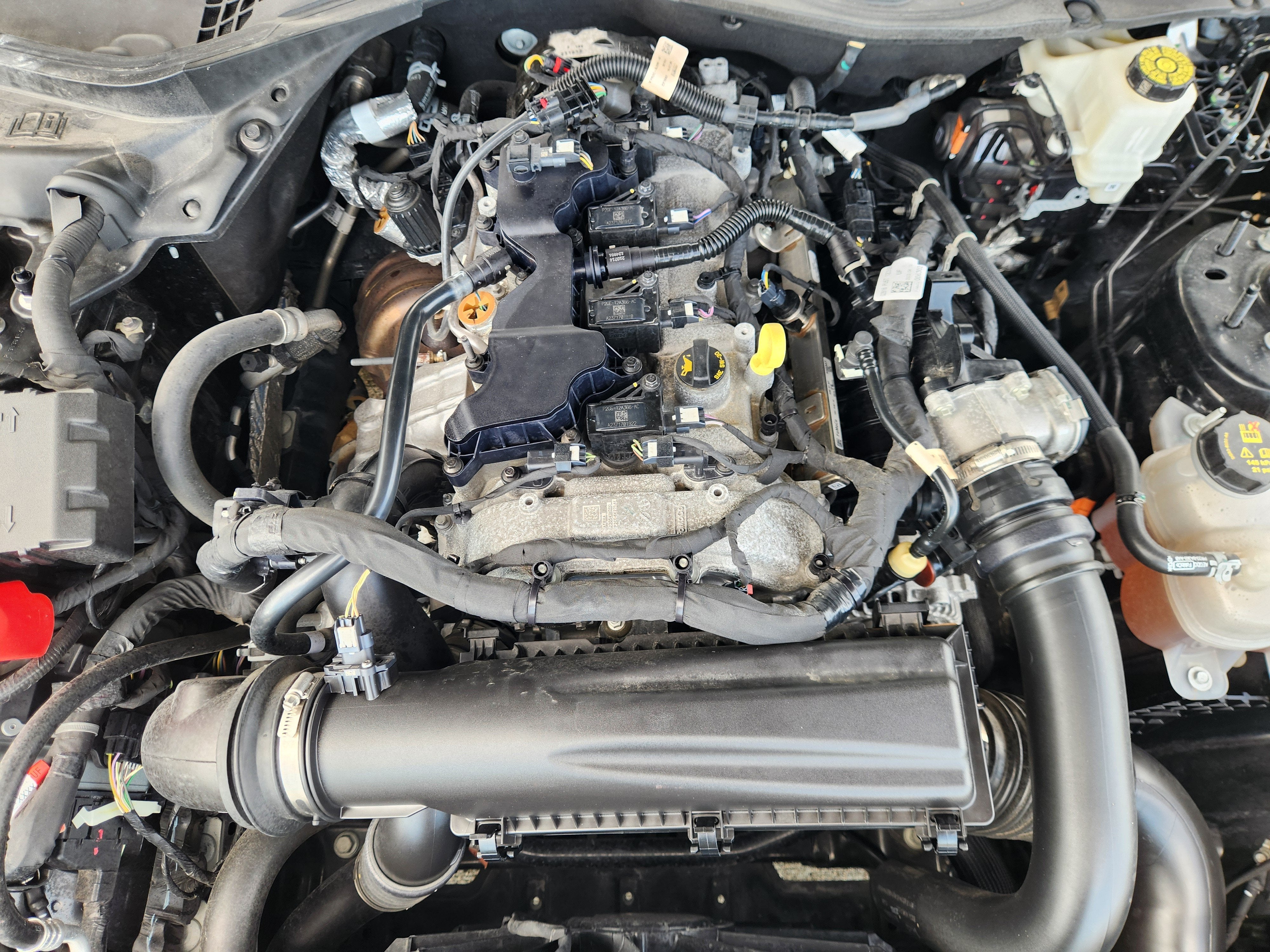 2024 Ford Mustang EcoBoost