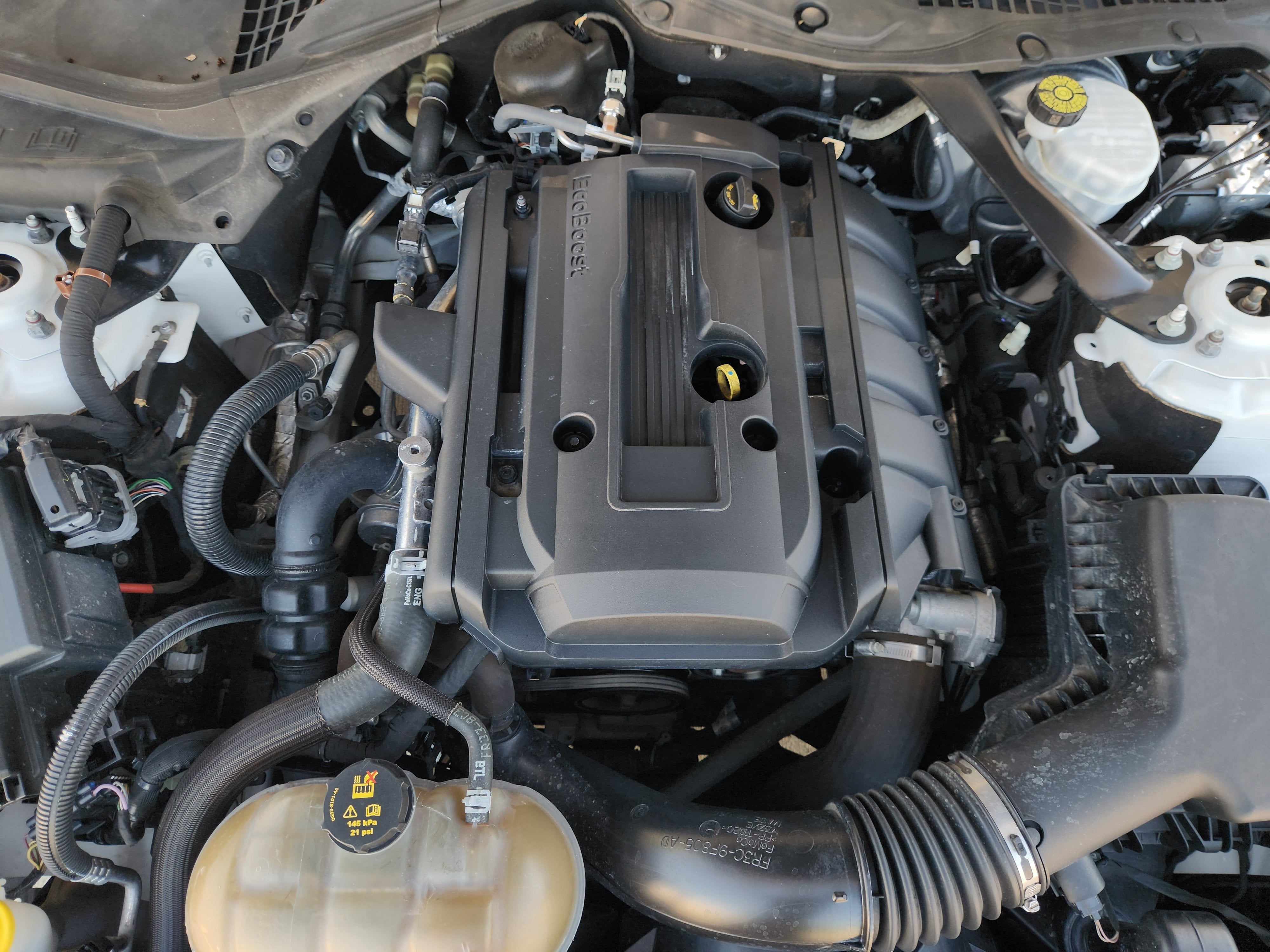 2019 Ford Mustang EcoBoost Premium