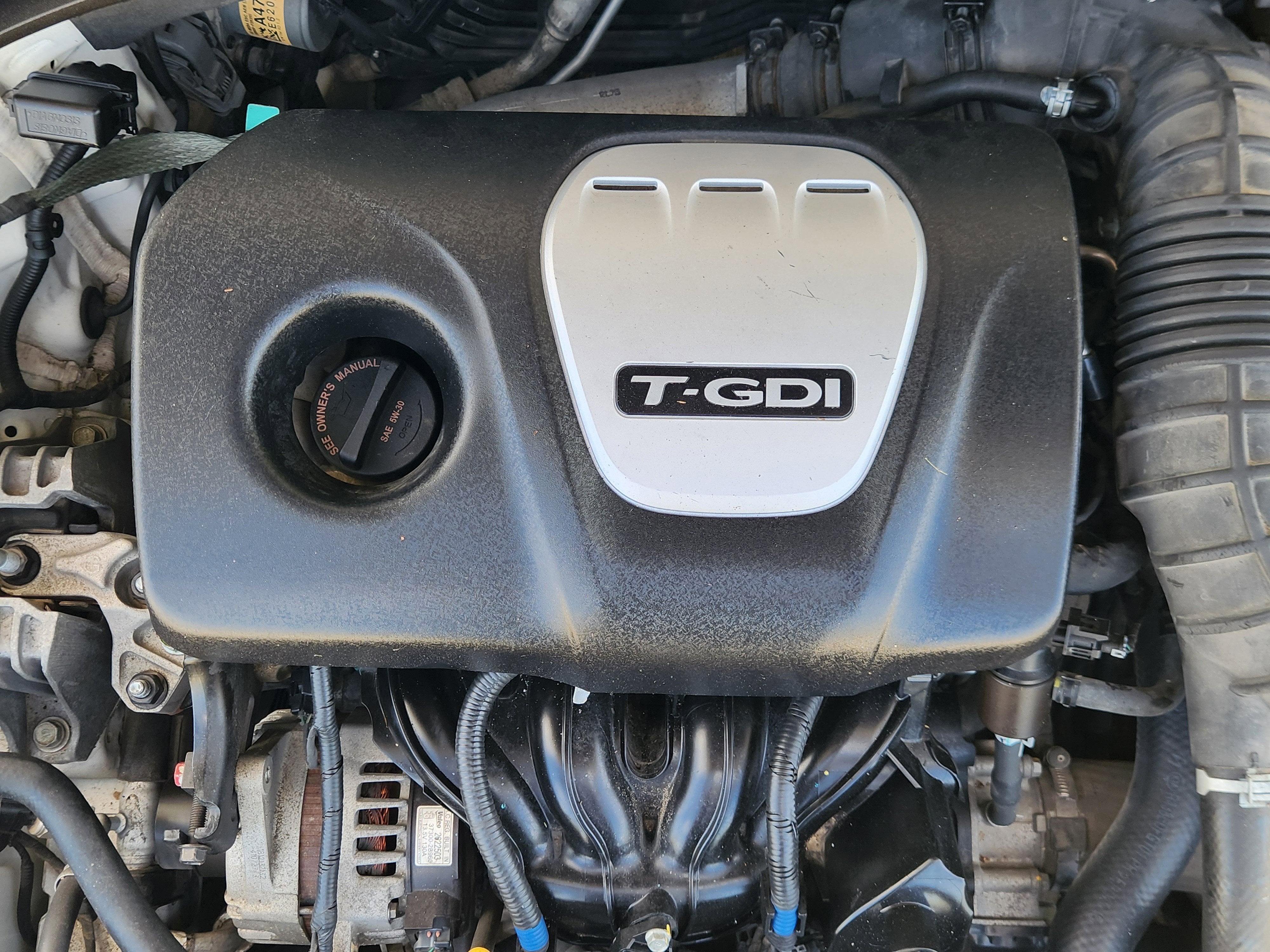 2019 Hyundai Elantra Sport