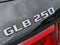 2020 Mercedes-Benz GLB GLB 250