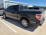 2010 Ford F-150 Platinum