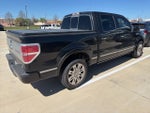 2010 Ford F-150 Platinum
